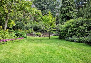 Optimiser l'expérience du jardin à Sceaux-d'Anjou